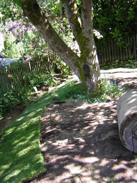 DSCN3127.jpg