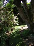 DSCN3128.jpg