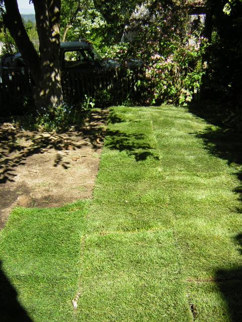DSCN3131.jpg
