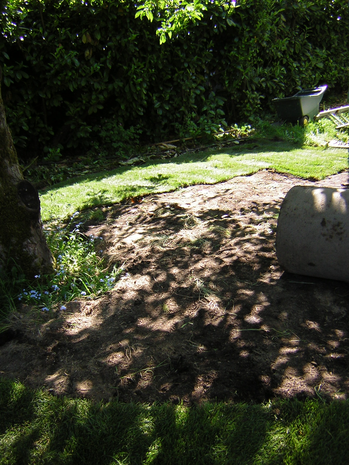 DSCN3133.jpg