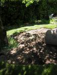 DSCN3133.jpg