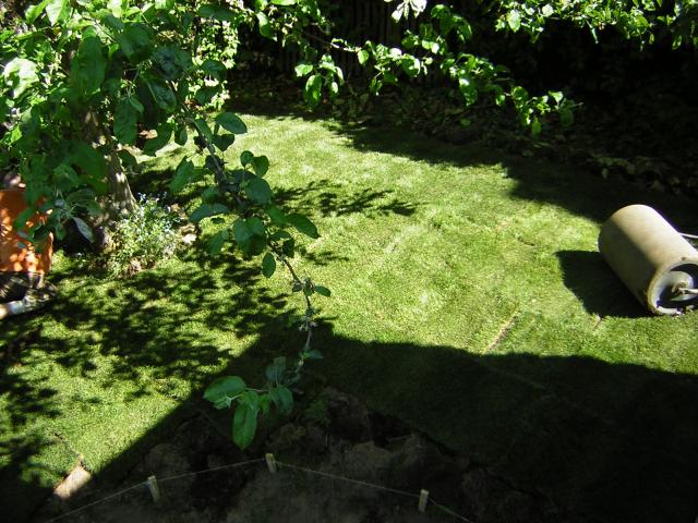 DSCN3136.jpg