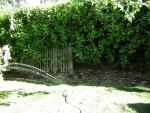 DSCN3140.jpg