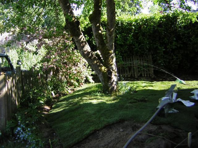DSCN3142.jpg