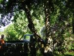 DSCN3145.jpg