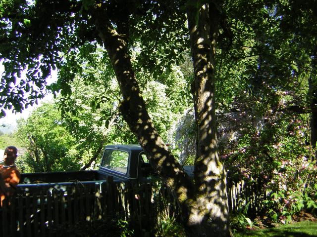 DSCN3145.jpg