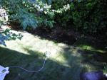 DSCN3150.jpg