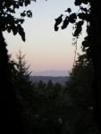 DSCN3157.jpg