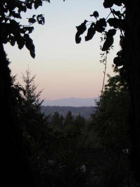 DSCN3157.jpg