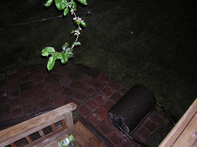 DSCN3162.jpg
