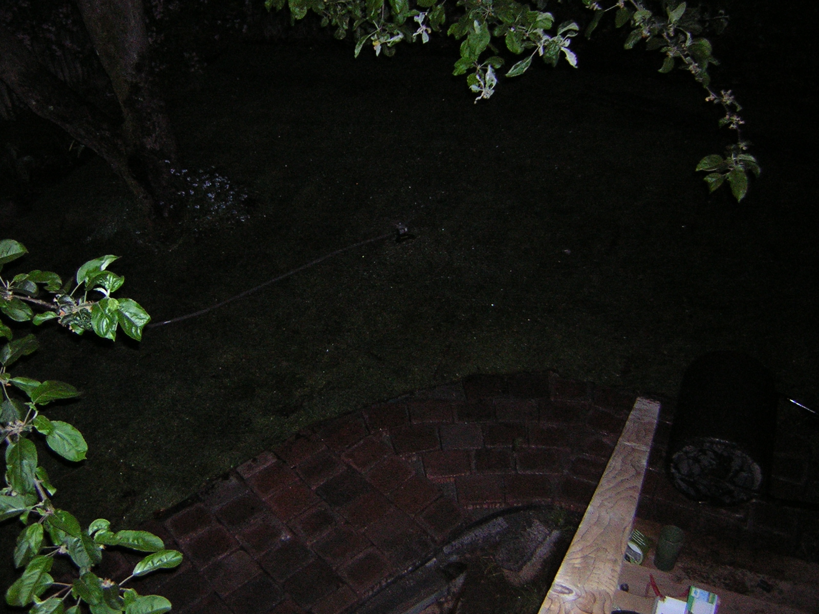 DSCN3163.jpg