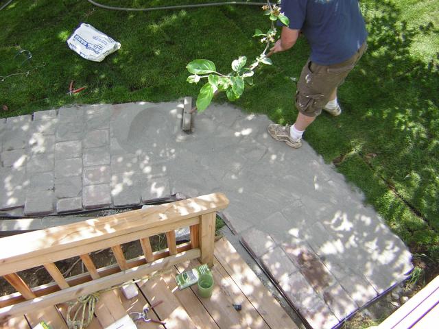 DSCN3164.jpg