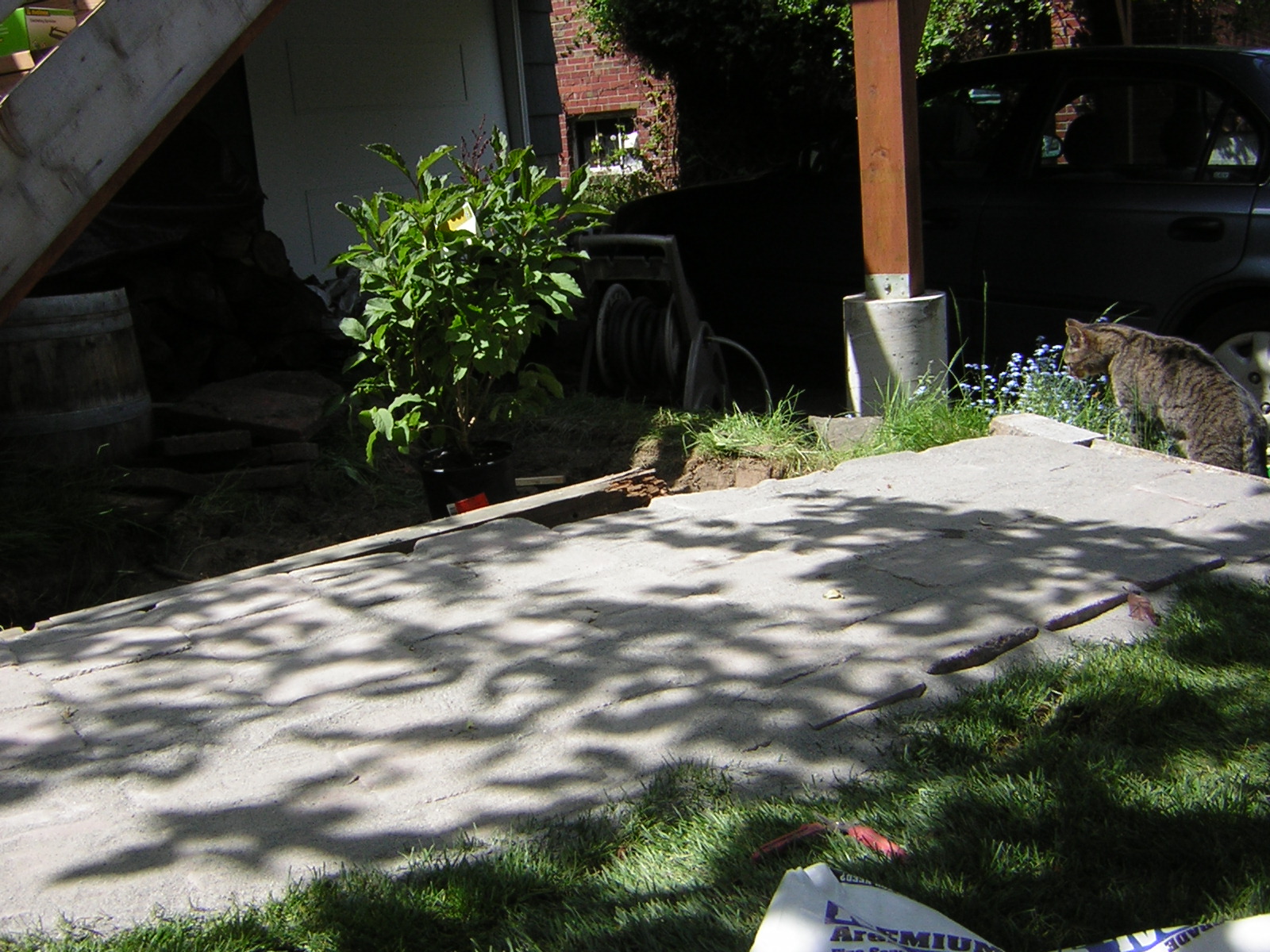 DSCN3166.jpg