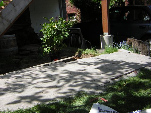 DSCN3166.jpg