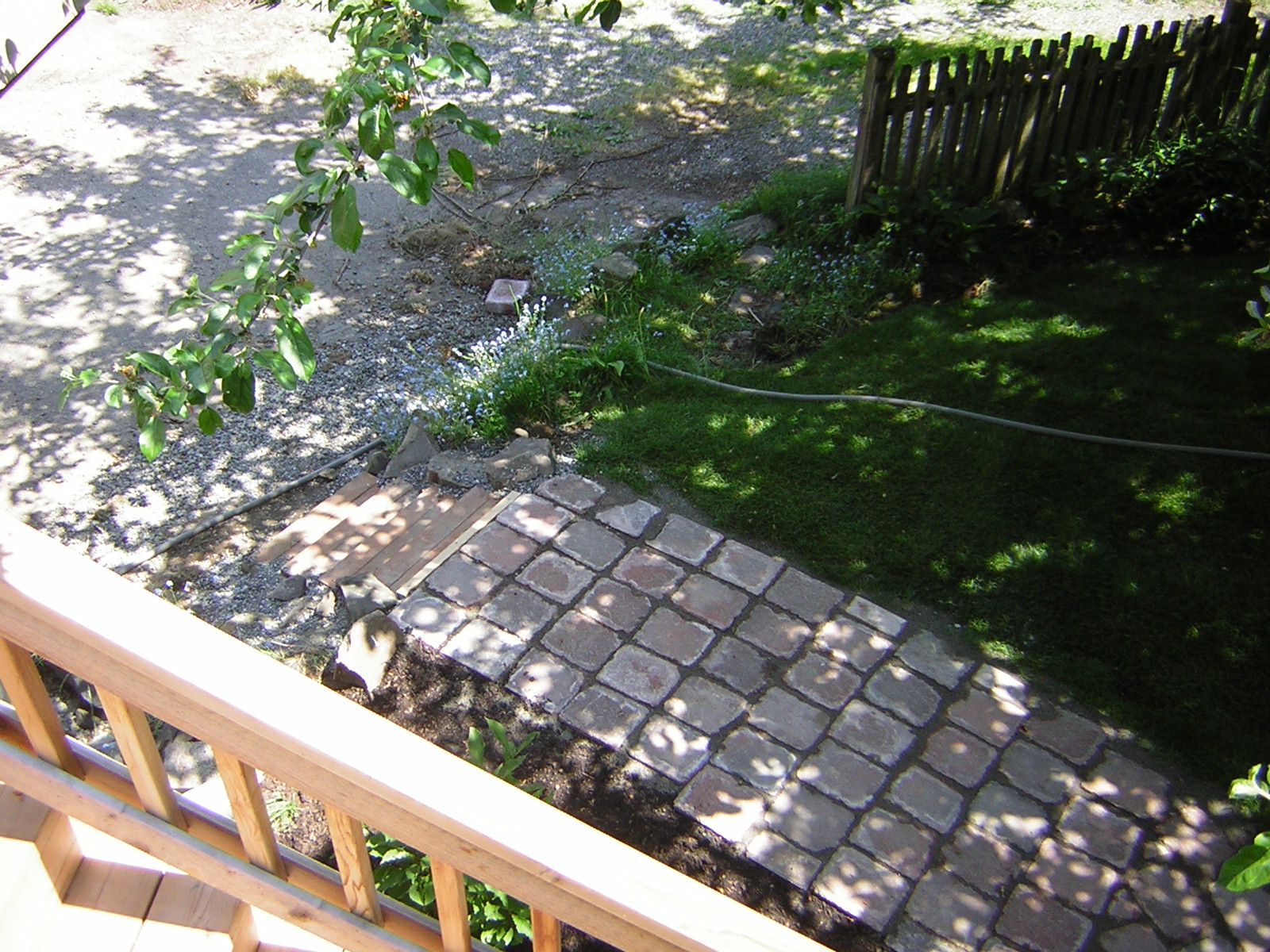 DSCN3236.jpg