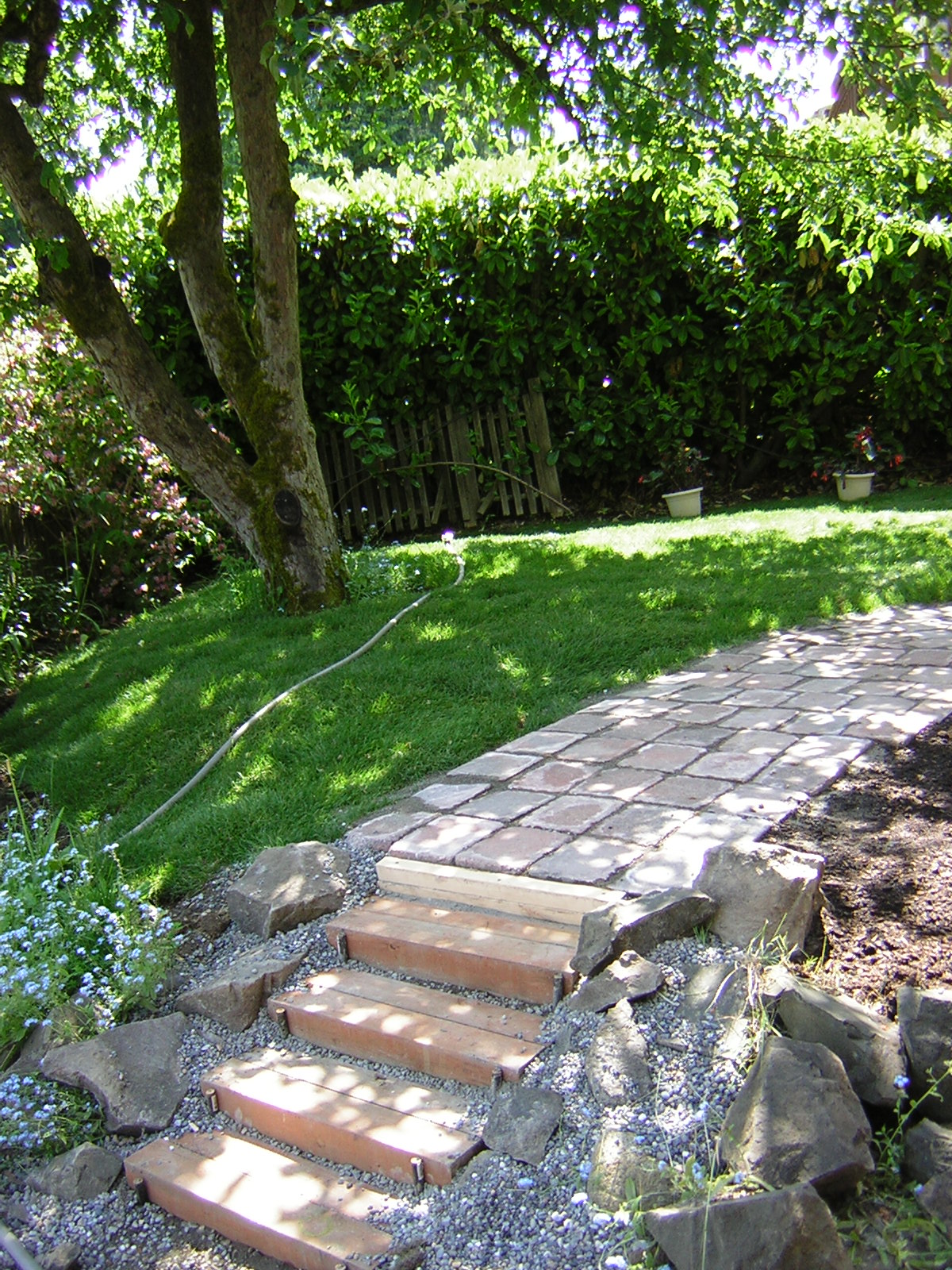 DSCN3238.jpg