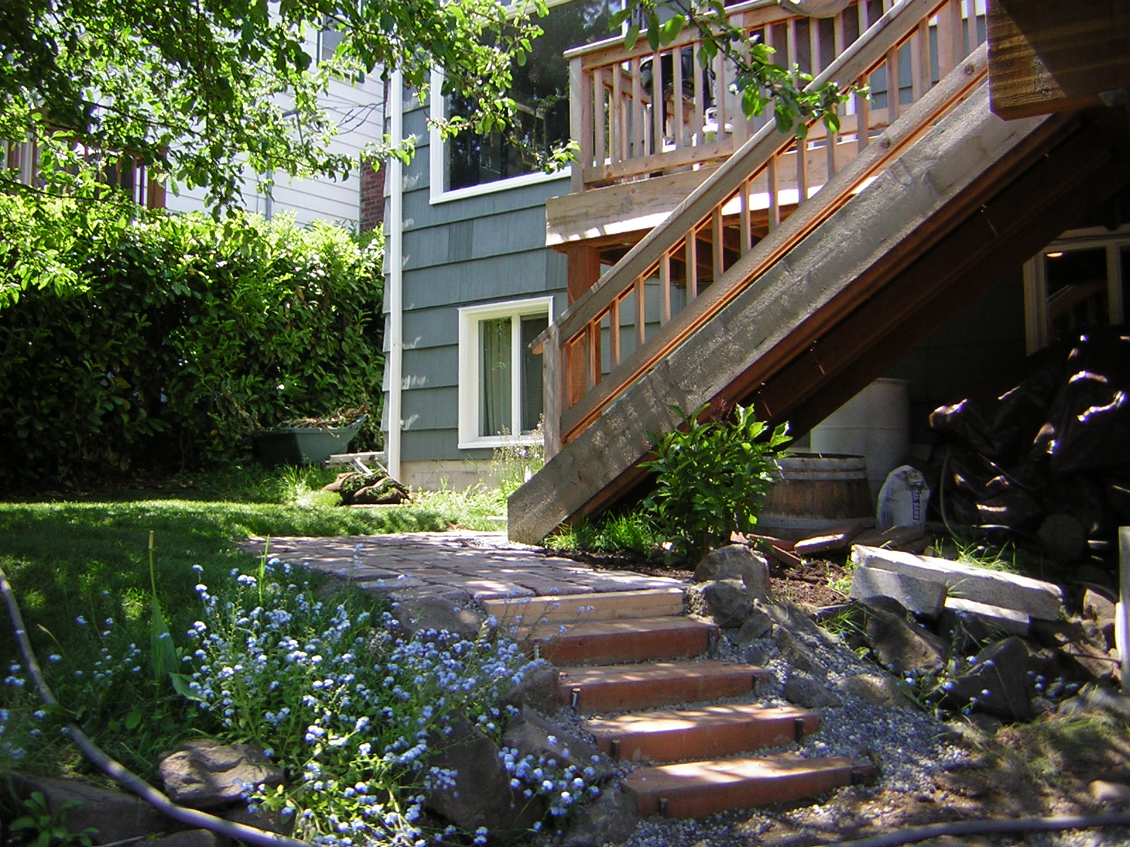 DSCN3237.jpg