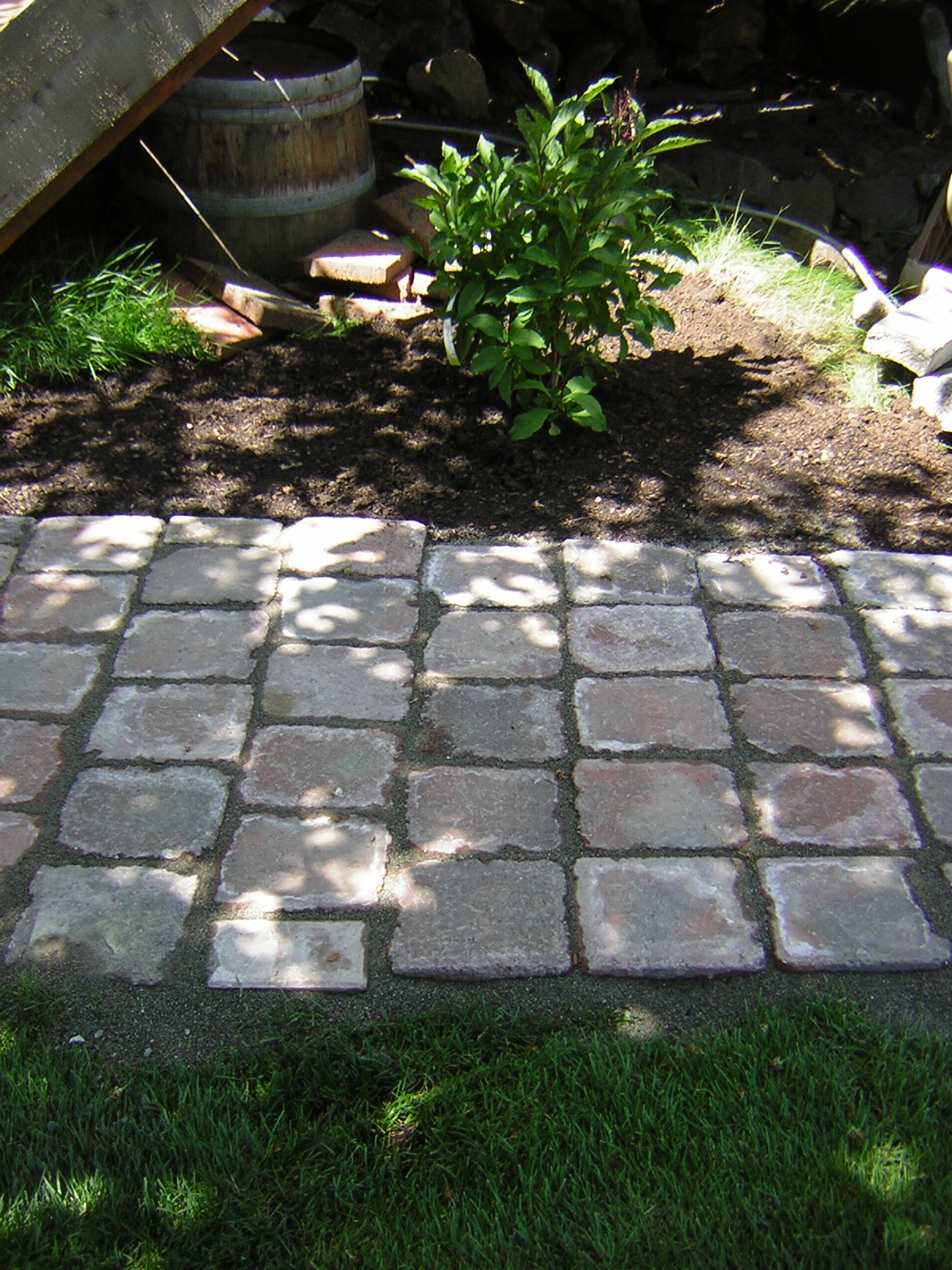 DSCN3239.jpg