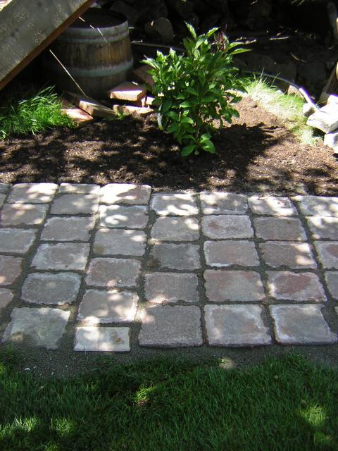 DSCN3239.jpg