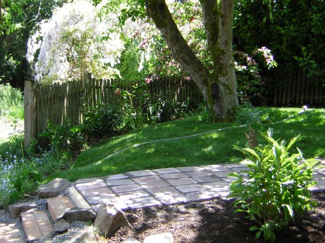 DSCN3242.jpg