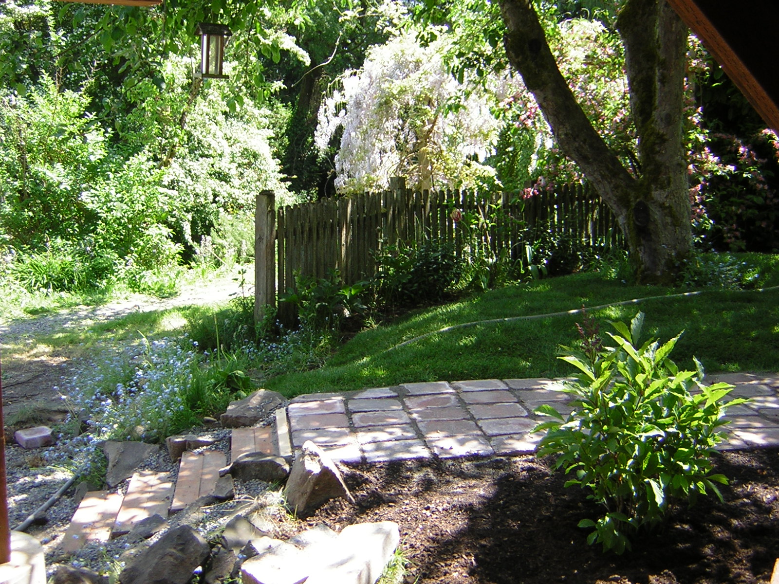 DSCN3243.jpg