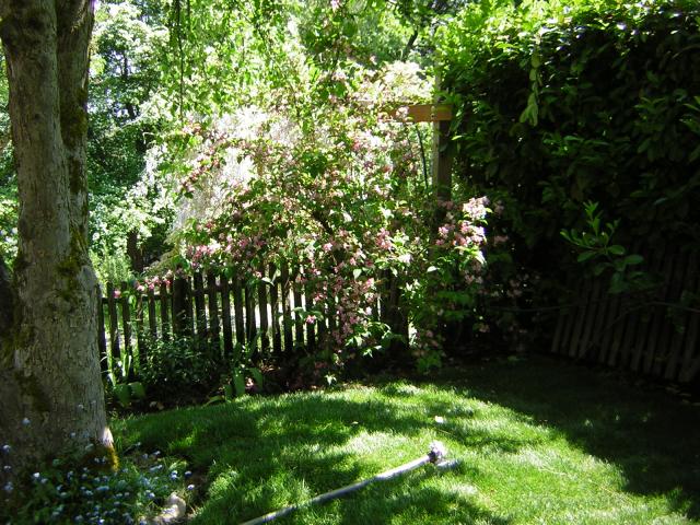 DSCN3244.jpg