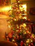 DSCN4271.jpg