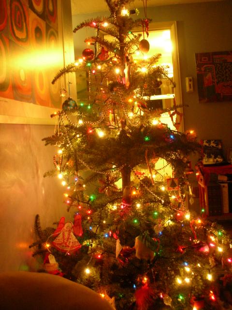 DSCN4271.jpg