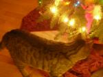 DSCN4274.jpg