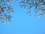 DSCN4467.jpg