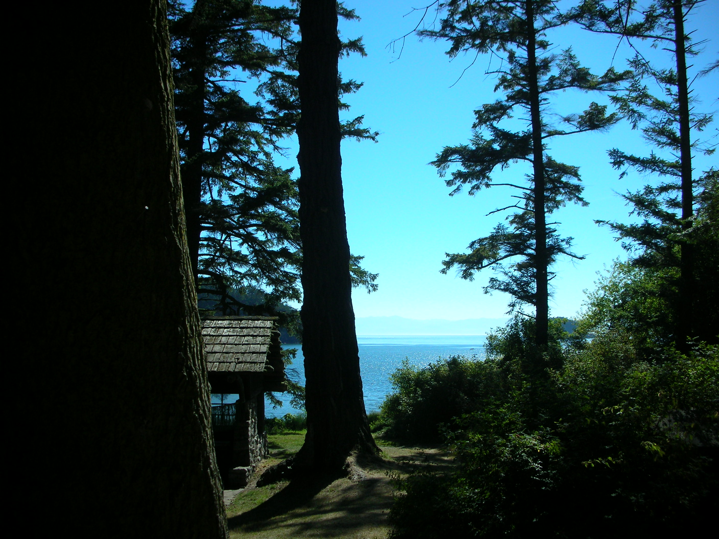 DSCN3679.jpg