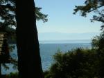 DSCN3680.jpg
