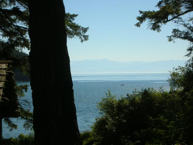 DSCN3680.jpg