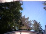 DSCN3681.jpg