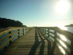 DSCN3685.jpg