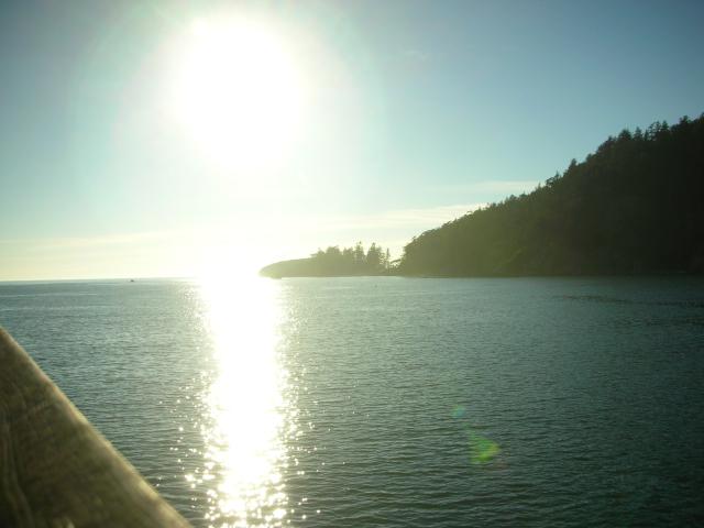 DSCN3686.jpg
