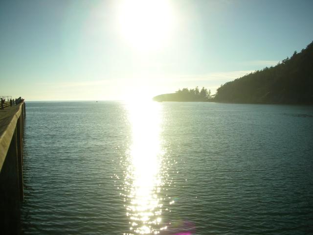 DSCN3688.jpg