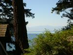 DSCN3706.jpg