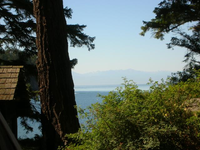 DSCN3706.jpg