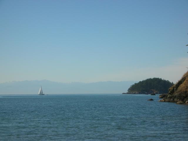 DSCN3708.jpg