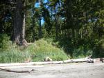 DSCN3711.jpg