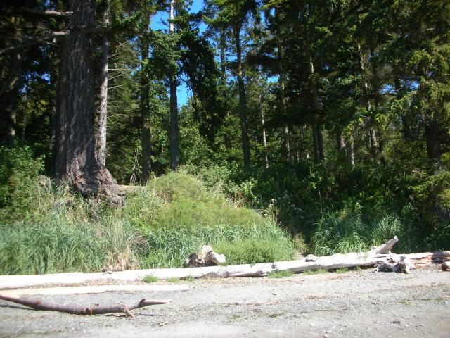DSCN3711.jpg