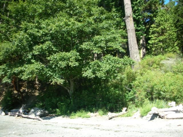 DSCN3712.jpg