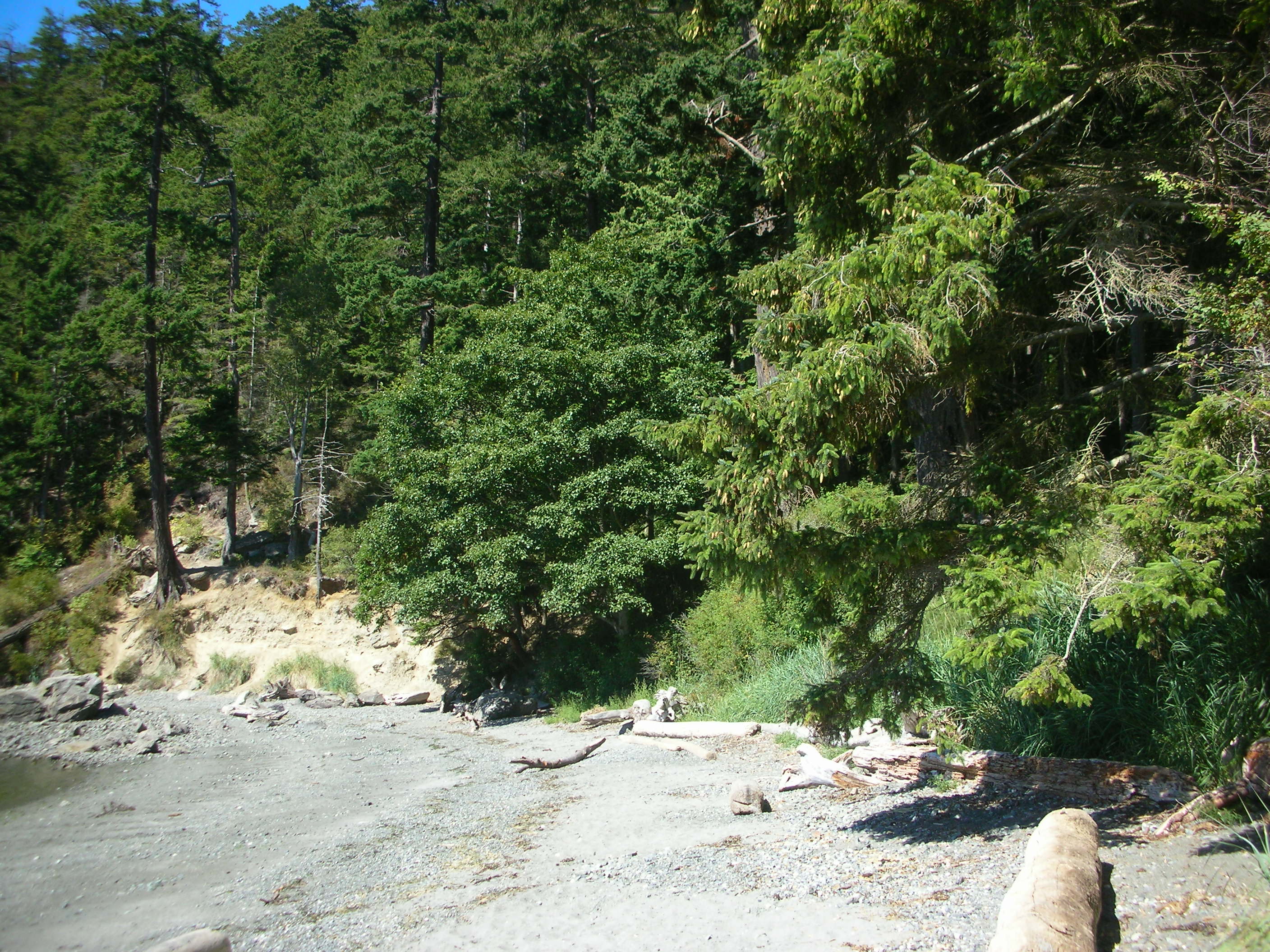DSCN3714.jpg