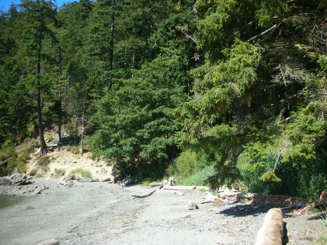 DSCN3714.jpg