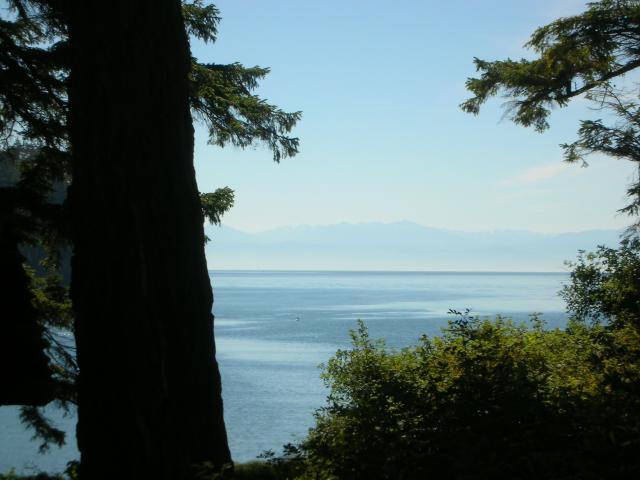 DSCN3715.jpg
