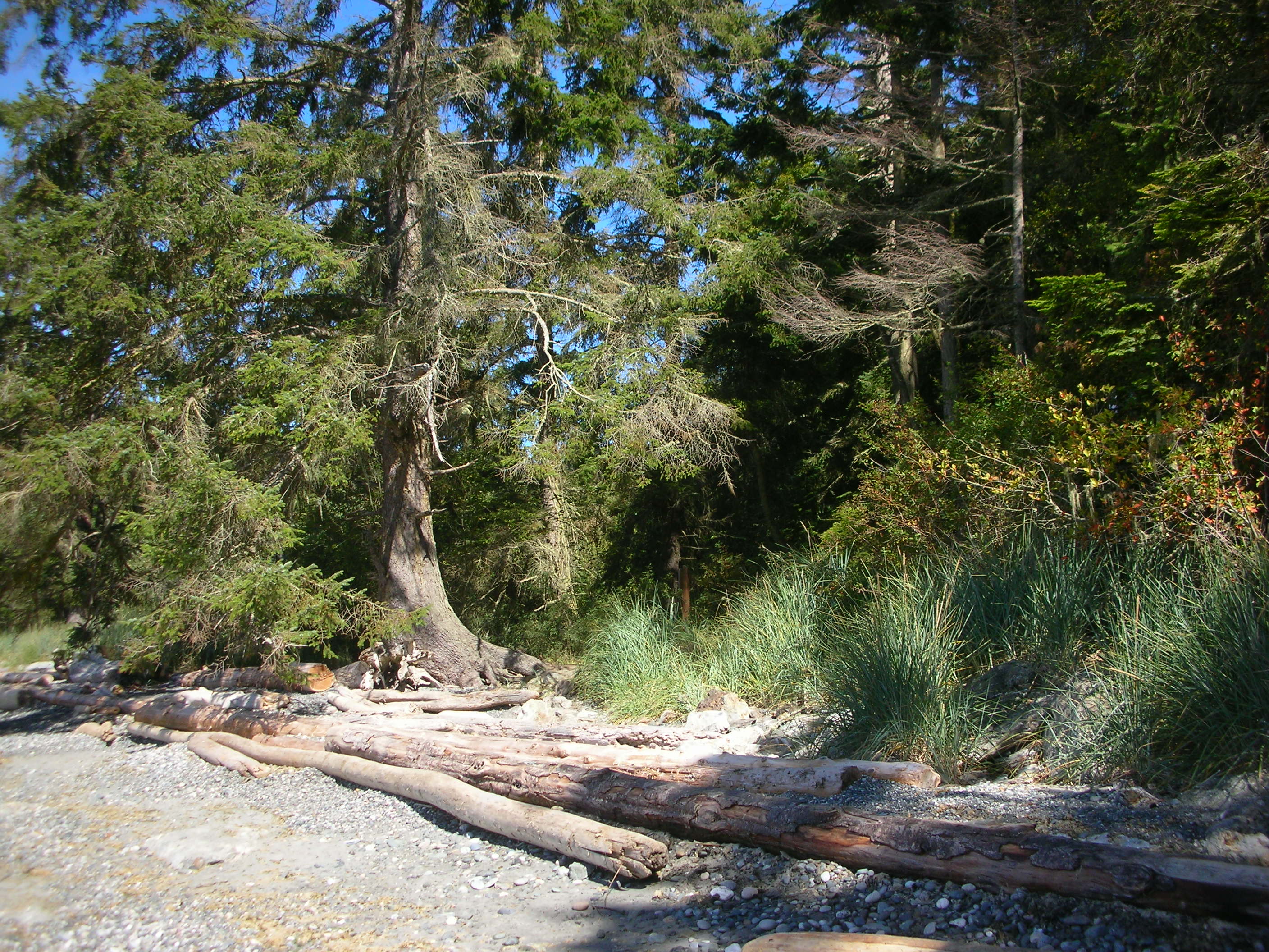 DSCN3718.jpg