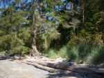 DSCN3718.jpg