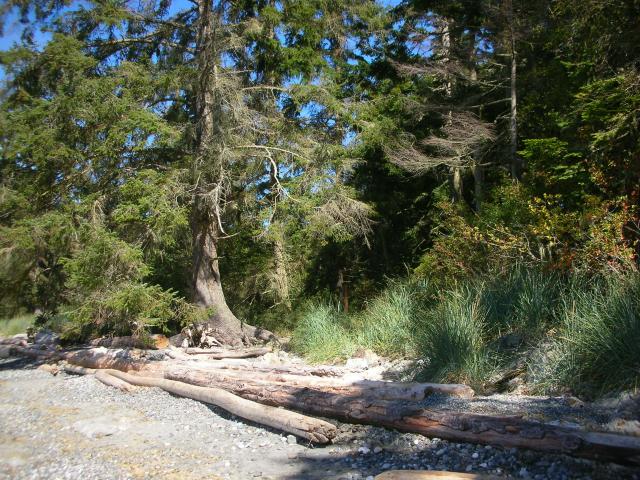 DSCN3718.jpg