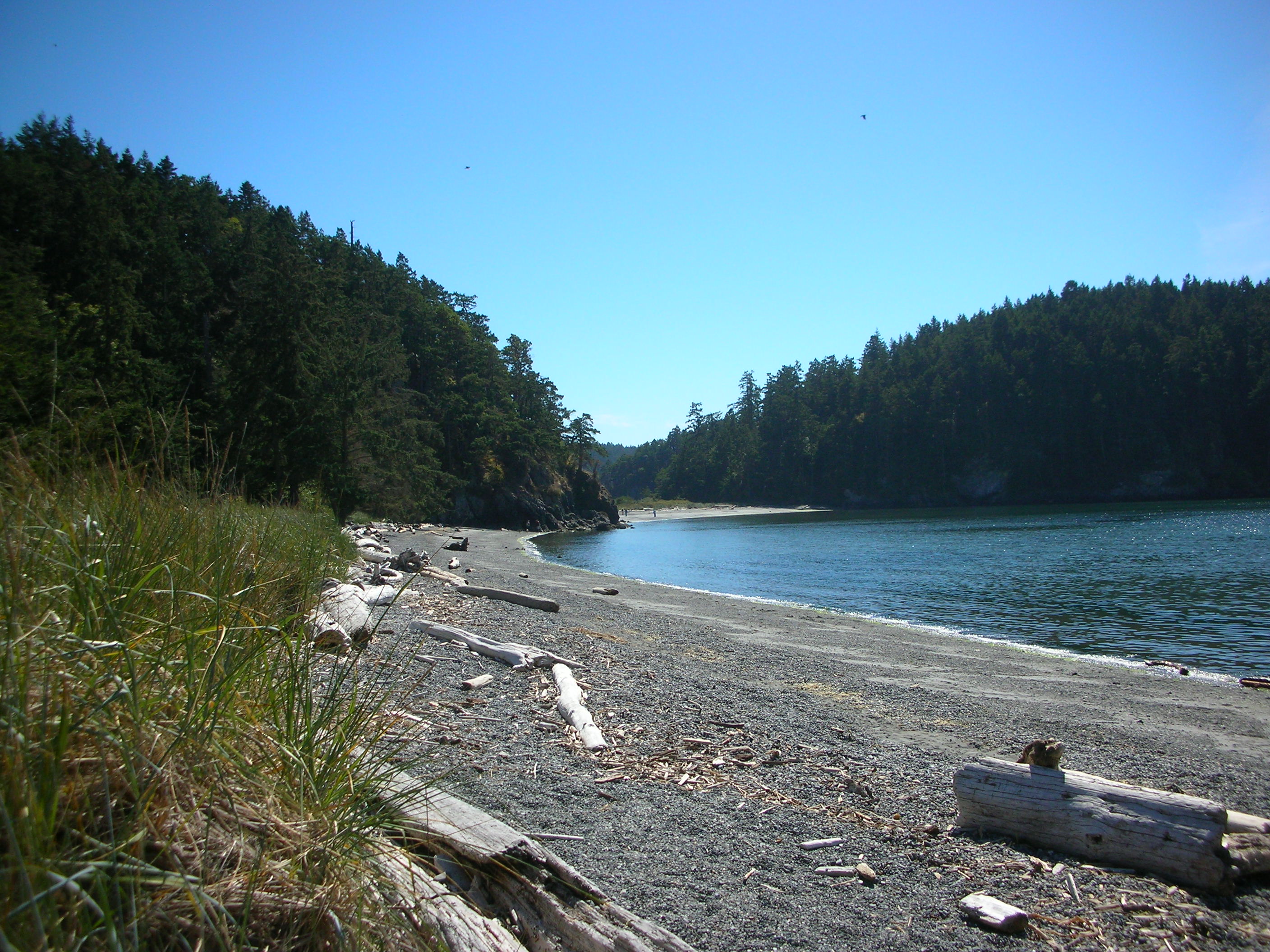 DSCN3720.jpg